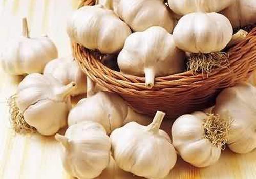 大蒜放耳朵有什么作用(耳朵放大蒜的坏处)