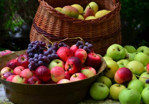 冬天坐月子可以吃什么水果 冬天坐月子可以吃什么水果,喂母乳