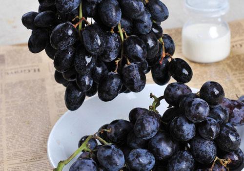 补肾的食物有哪些 补肾的食物有哪些女人补肾的食物有哪些