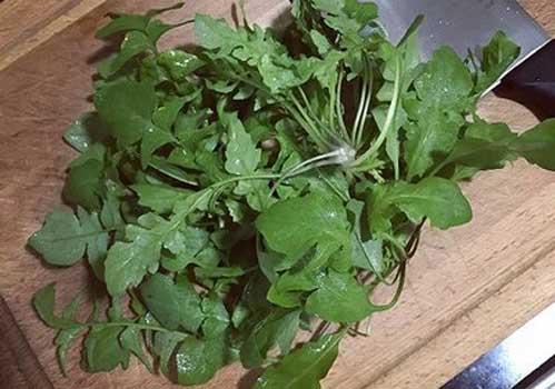 8个月宝宝可以吃芥菜吗 有什么影响?吃了怎么办?