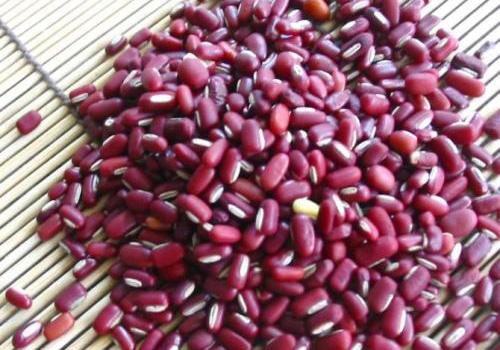 胆结石吃什么最好（胆结石吃什么好）