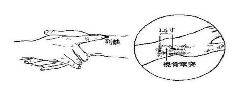 列缺的准确位置图视频 列缺的准确位置图片及功效视频