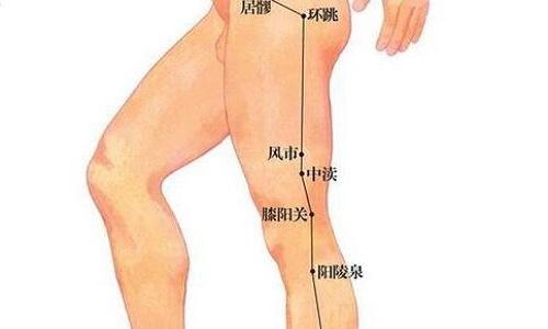 风市的准确位置图和作用 风市的准确位置图和作用按摩方法阳陵泉
