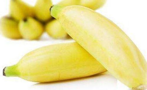 孕妇能不能吃米蕉 孕妇能吃米蕉吗?怀孕期间吃米蕉应注意什么