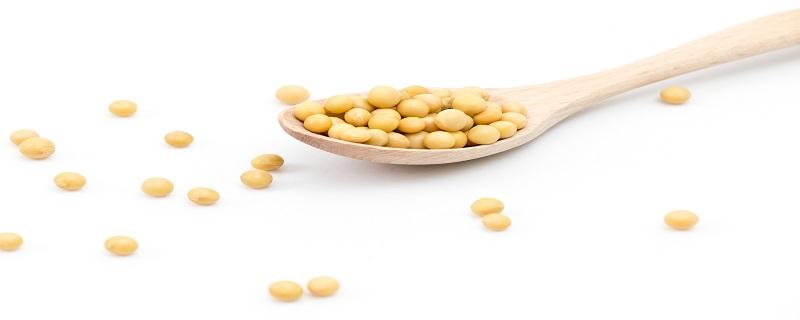 豆浆里放糖小孩喝好吗（孩子喝豆浆放糖好吗）