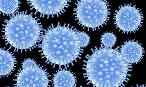 得过乙型流感还会得吗 乙型流感严重吗