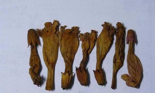 活血调经的中药有哪些（舒筋活血的中药有哪些）