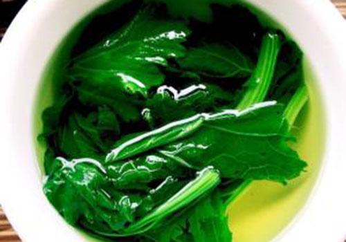 苦菜胃炎可以吃吗（急性肠胃炎可以吃苦菜吗）