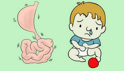 消化不良会胖吗（为什么消化不良会胖）