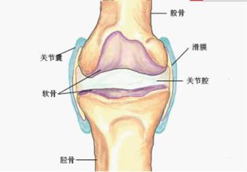 滑膜炎怎么治疗最有效 膝盖滑膜炎怎么治疗最有效