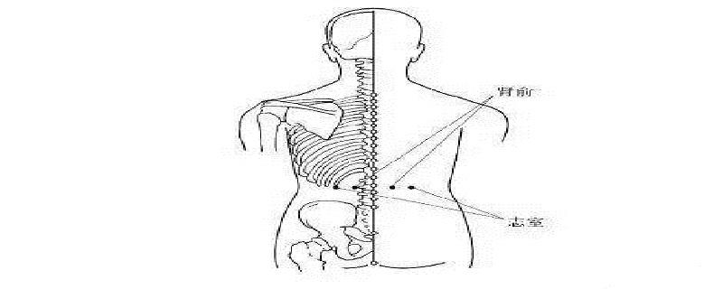 志室的定位(志室准确位置)