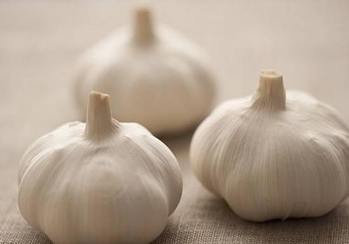 大蒜不能和什么一起吃 大蒜不能和什么一起吃有剧毒