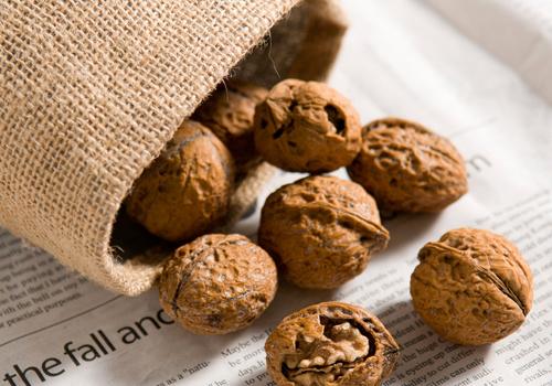 女性补肾吃什么食物 女的补肾吃什么食物