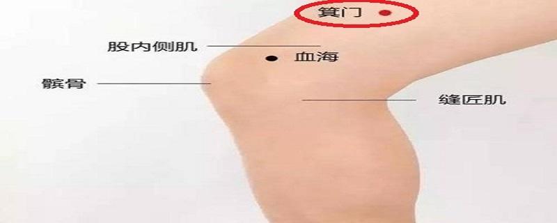 箕门准确位置图片 箕门准确位置图片及作用