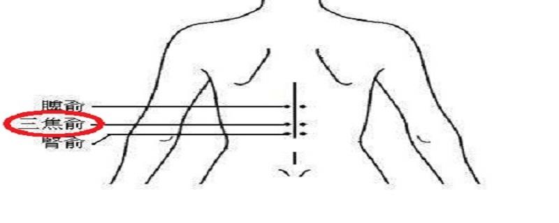 三焦俞的准确位置图（三焦俞的准确位置图和作用简单方法）