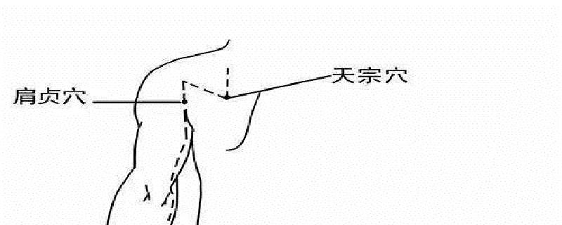 肩贞是什么经络上的 肩贞属于什么经络