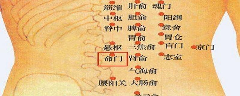 命门的针刺方法（命门的针灸方法）