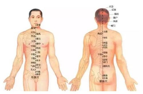 督脉的准确位置图 督脉的准确位置图图解