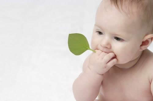 孩子吃海鲜的注意事项（孩子不能吃海鲜应该补充些什么）