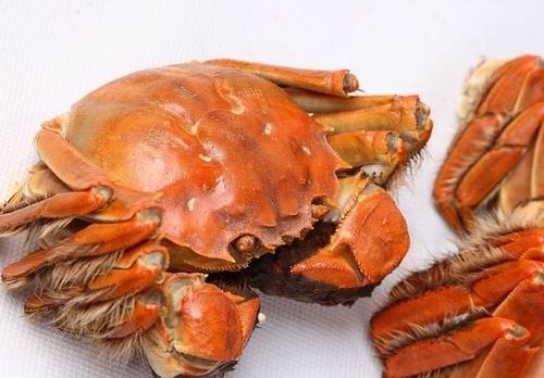 盘点各种能导致孕妇流产的食物（盘点各种能导致孕妇流产的食物是什么）