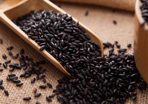 不同的米有什么不一样（不同的米有什么不一样不同）