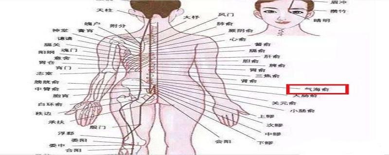 气海俞的准确位置图片 气海俞的准确位置图片图准确位置图
