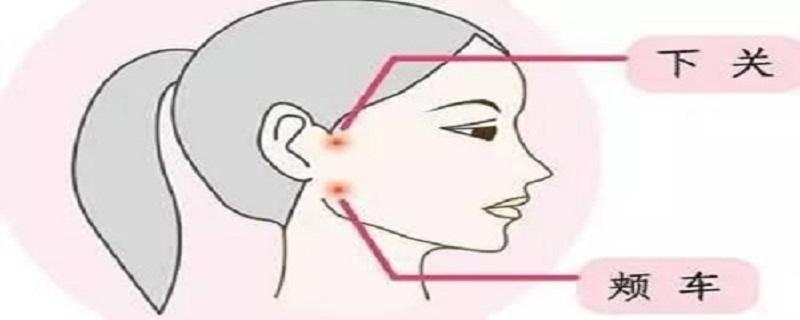 按摩颊车的作用（揉颊车的治疗作用）
