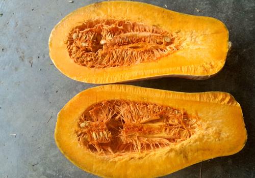 春季养胃吃什么好 春季养胃吃什么食物最好请问