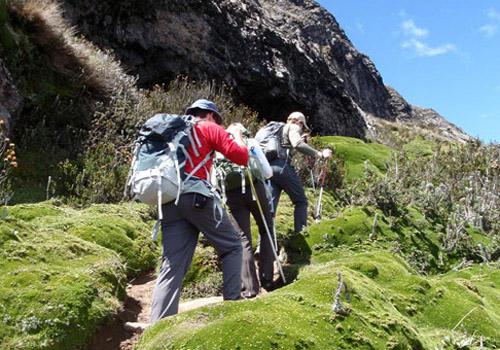 如何登山省力又健康（怎样登山更轻松）