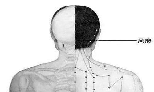 风府的准确位置图和作用 风池和风府的准确位置图和作用