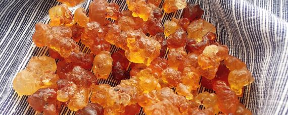 桃胶治胃病是真的吗 桃胶怎么吃对治疗胃病最好