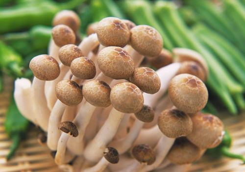 舌癌手术后吃什么好(舌癌动手术吃什么菜好)