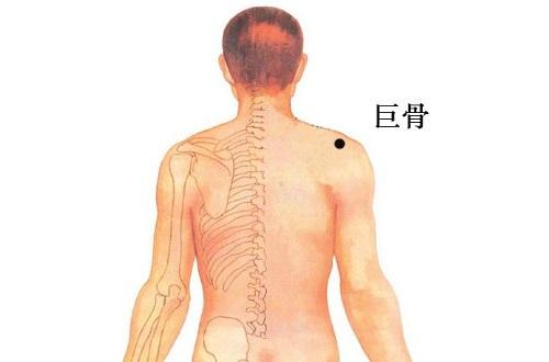 巨骨的准确位置图 巨骨的准确位置图作用