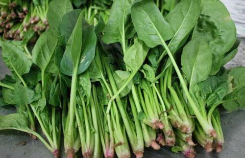 吃什么东西可以润肠（吃什么东西可以润肠排便）