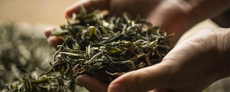 茶叶放冰箱冷藏还是冷冻 茶叶放冰箱冷藏还是冷冻白茶