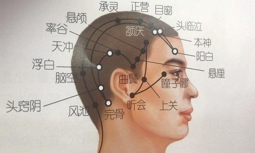 本神的准确位置图(本神的准确位置图和作用)