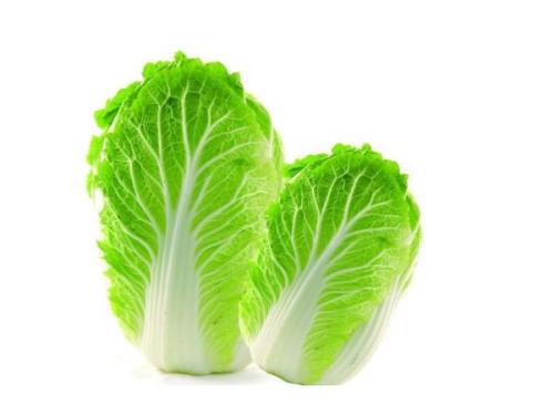 连续吃白菜有什么好处 经常吃白菜有什么好处和坏处