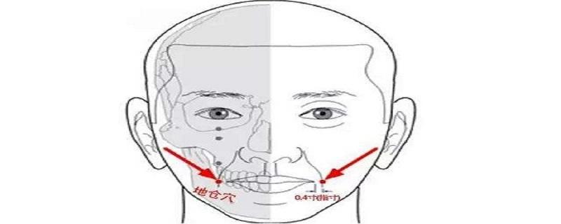 地仓的准确位置图 地仓的准确位置图作用功效