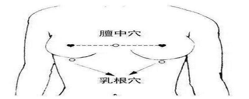 乳根的准确位置视频 乳根准确位置图片