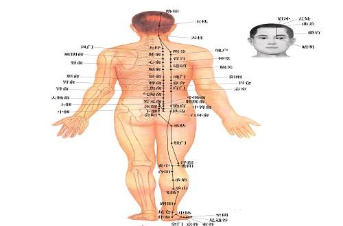 足太阳膀胱经的作用 足太阳膀胱经的作用视频