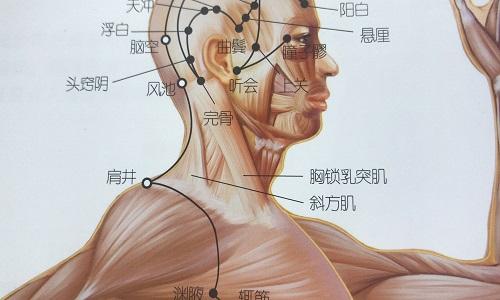 头窍阴的准确位置图片 窍阴的准确位置图片及作用