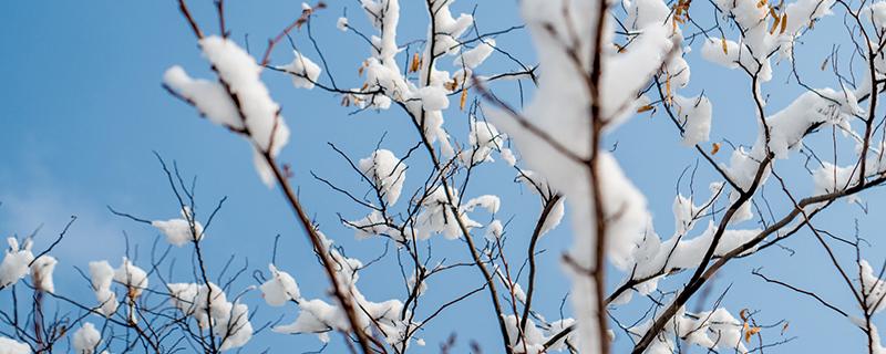 小雪节气注意事项 小雪节气注意保暖