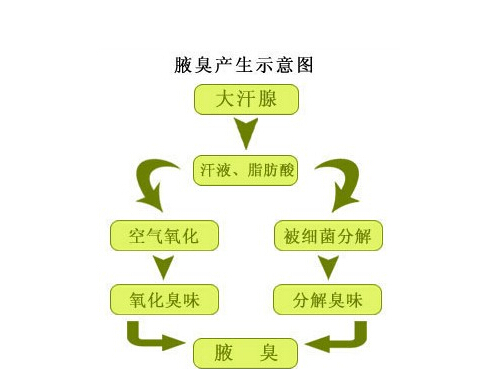 青春期有狐臭怎么办（青春期有狐臭怎么办才能根除）