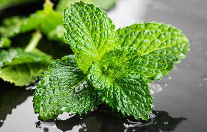 口臭什么原因引起的(口臭什么原因引起的,怎么治疗)