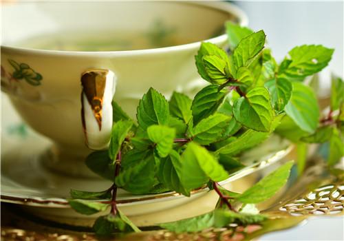 薄荷茶可以去火吗 薄荷茶能反复冲泡吗