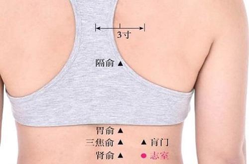 志室的准确位置图（志室的准确位置图片及功效）