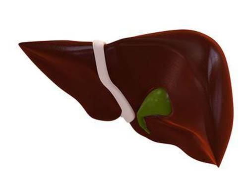 肝脏不好的症状（总做梦是肝脏不好的症状）