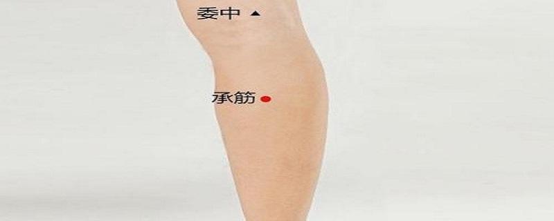 承筋的准确位置图视频 总筋的准确位置图视频