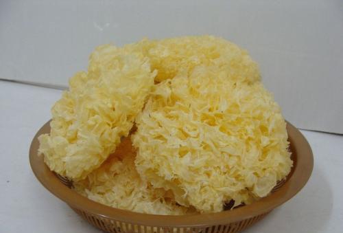 烟民吃什么最清肺(烟民吃什么最清肺止咳)