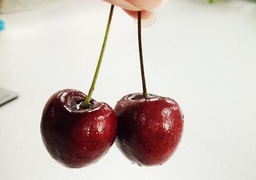 小孩咳嗽可以吃车厘子吗(孩子咳嗽能吃车厘子吗?)